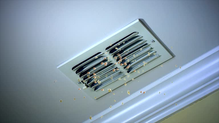 Best Affordable HVAC Duct Cleaning  in Raoul, GA