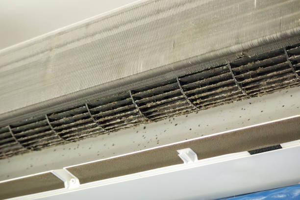 Best Air Duct Cleaning Near Me  in Raoul, GA